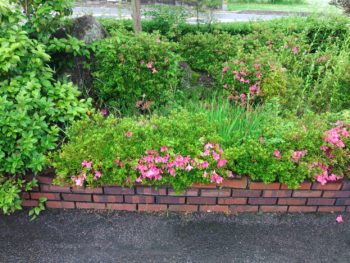 安芸高田市で温水除草作業を行いました。